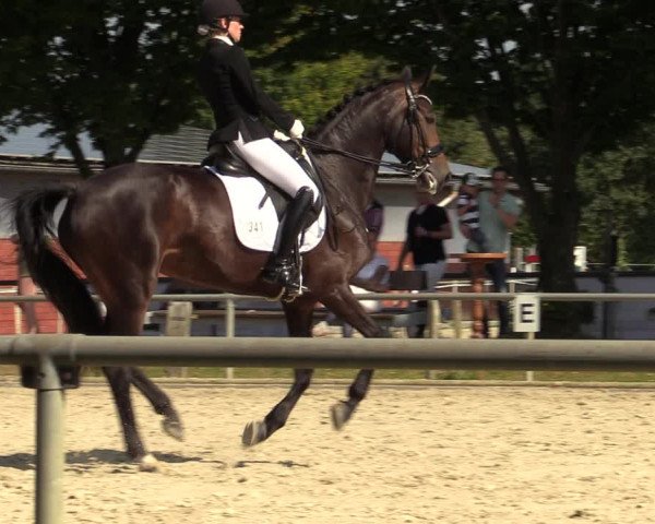 Reitturnier Ascheberg 2021
