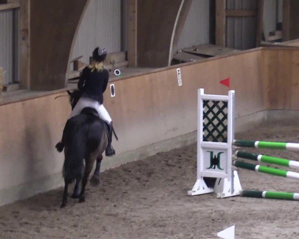 Reitturnier Leck 2025