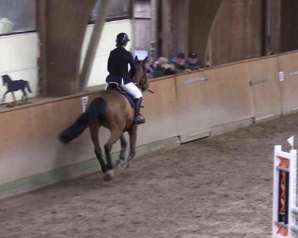 Reitturnier Leck 2025
