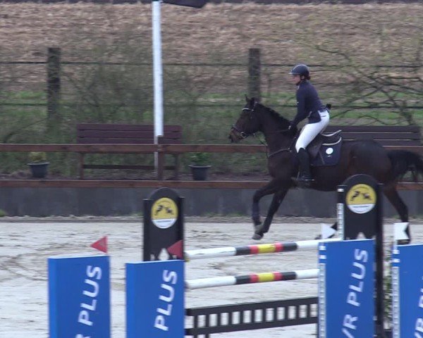 Reitturnier Scharnebeck 2025