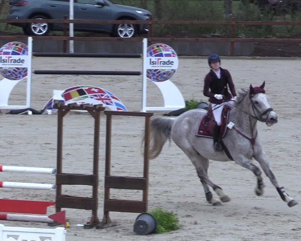 Reitturnier Scharnebeck 2025