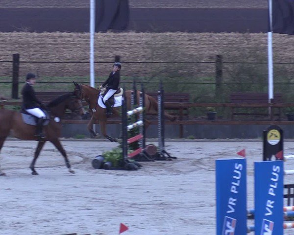 Reitturnier Scharnebeck 2025