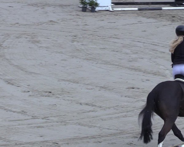Reitturnier Scharnebeck 2025