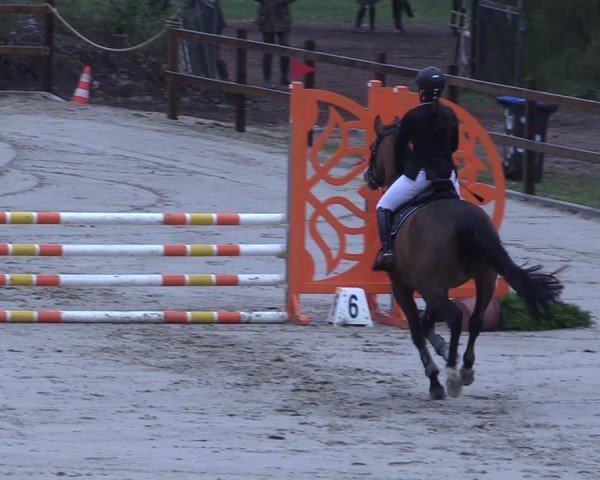 Reitturnier Scharnebeck 2025