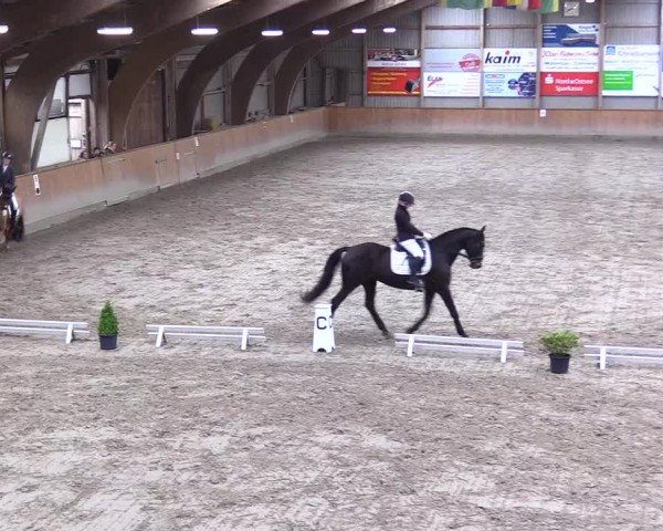 Reitturnier Leck 2025