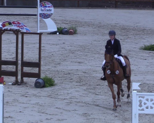 Reitturnier Scharnebeck 2025