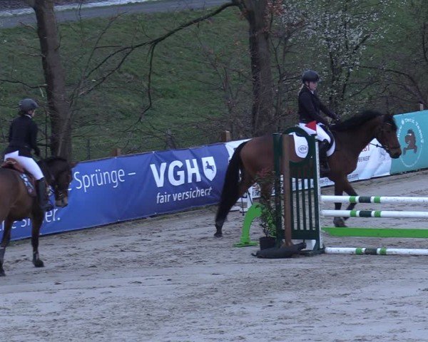 Reitturnier Scharnebeck 2025