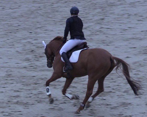Reitturnier Scharnebeck 2025