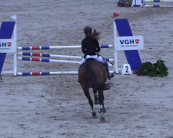 Reitturnier Scharnebeck 2025