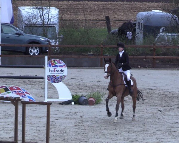 Reitturnier Scharnebeck 2025