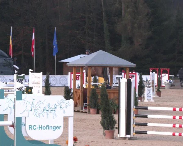 Reitturnier Ranshofen - Braunau am Inn 2025