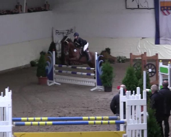 16. Legdener Pony-Meeting