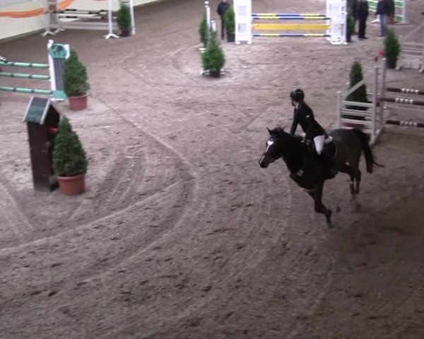 16. Legdener Pony-Meeting