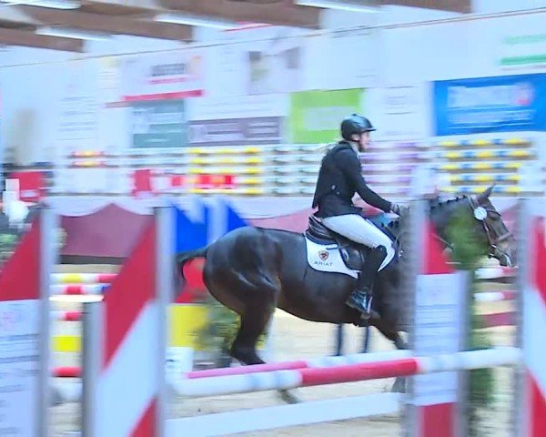 Reitturnier Eicherloh 2025