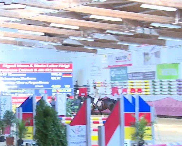 Reitturnier Eicherloh 2025