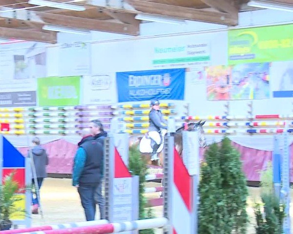 Reitturnier Eicherloh 2025