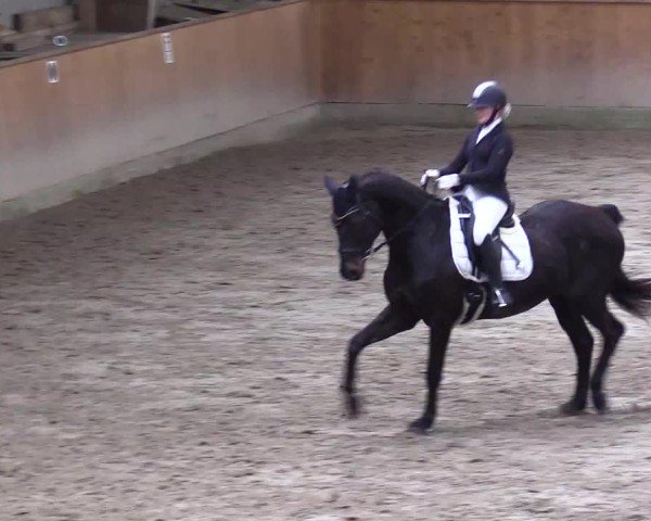 Reitturnier Leck 2025