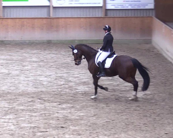 Reitturnier Leck 2025