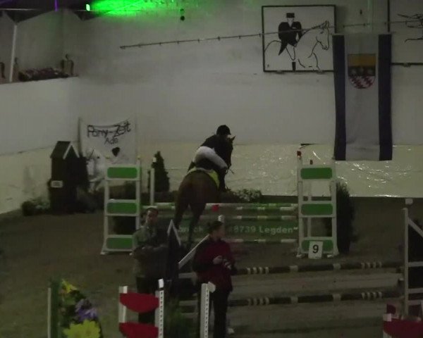 16. Legdener Pony-Meeting