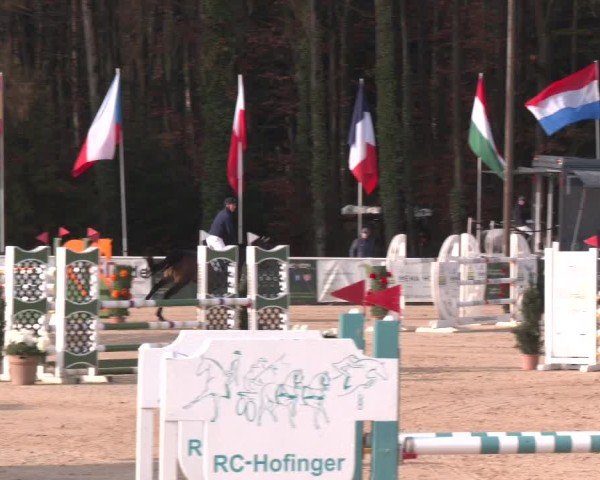 Reitturnier Ranshofen - Braunau am Inn 2025
