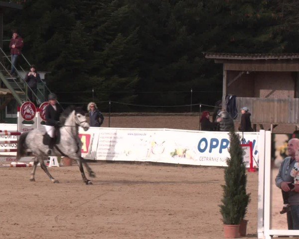 Reitturnier Ranshofen - Braunau am Inn 2025