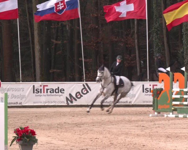 Reitturnier Ranshofen - Braunau am Inn 2025