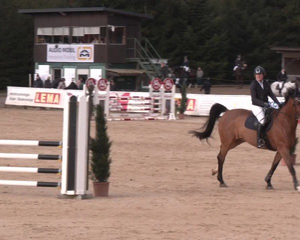 Reitturnier Ranshofen - Braunau am Inn 2025