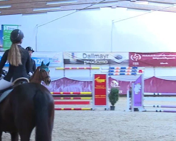 Reitturnier Eicherloh 2025