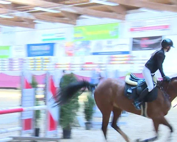 Reitturnier Eicherloh 2025