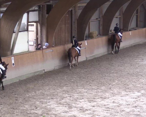 Reitturnier Leck 2025