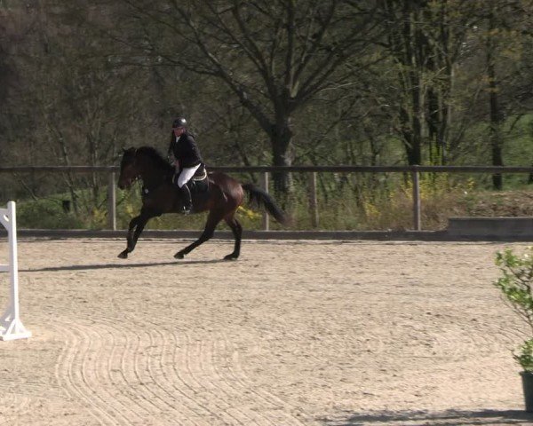 Reitturnier Erkrath 2025
