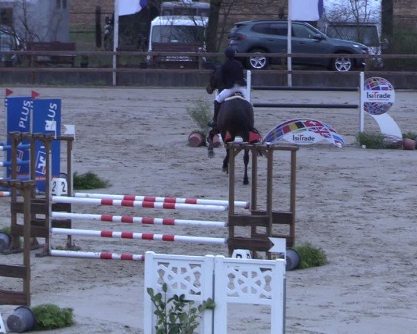 Reitturnier Scharnebeck 2025
