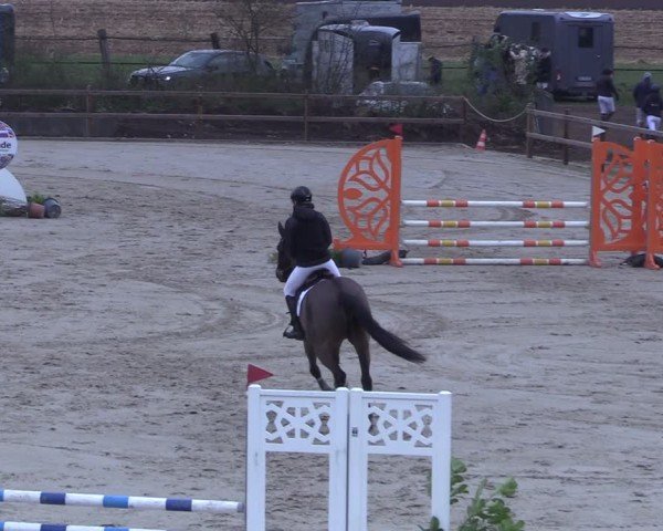 Reitturnier Scharnebeck 2025