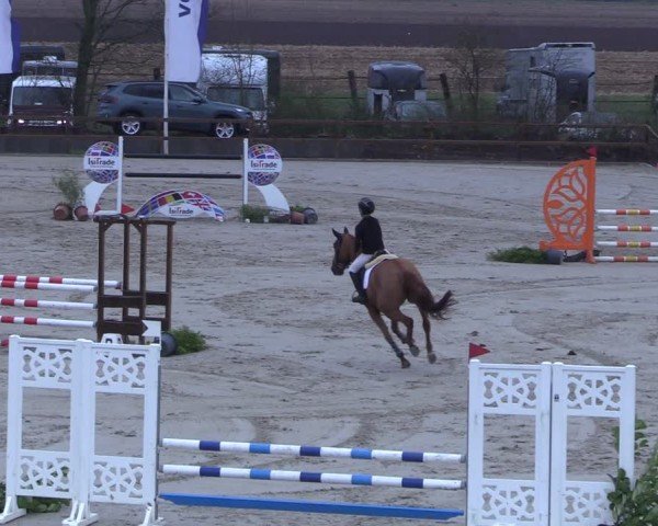 Reitturnier Scharnebeck 2025
