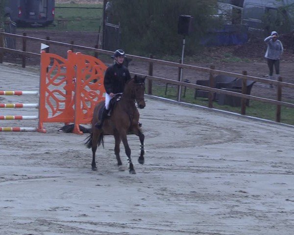 Reitturnier Scharnebeck 2025