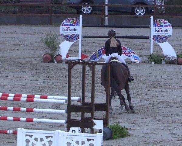 Reitturnier Scharnebeck 2025