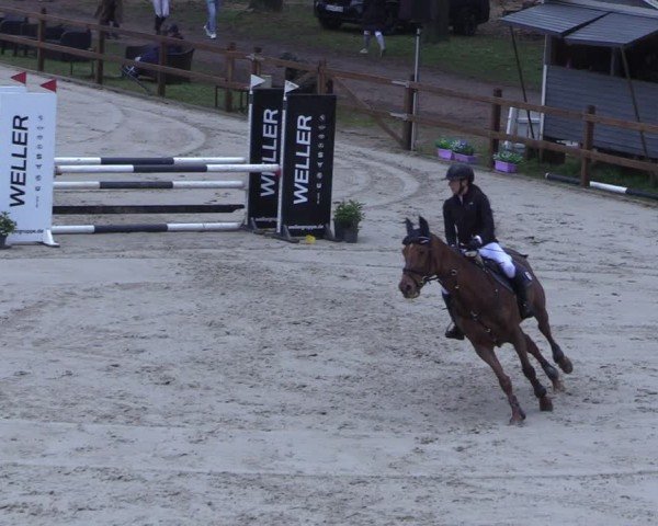 Reitturnier Scharnebeck 2025
