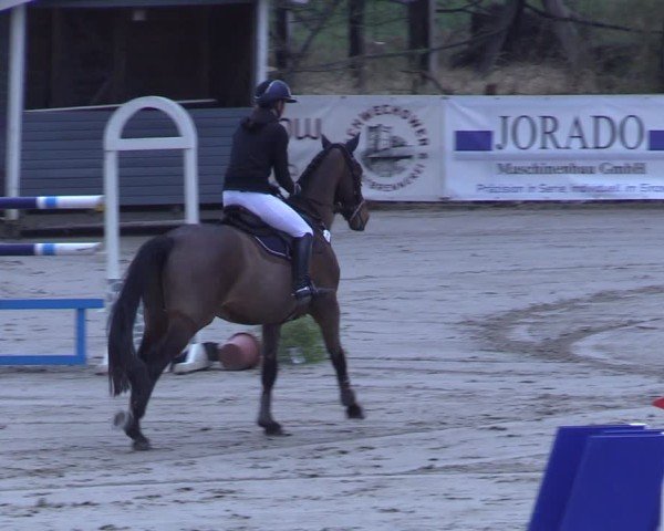 Reitturnier Scharnebeck 2025