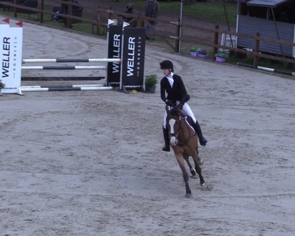 Reitturnier Scharnebeck 2025