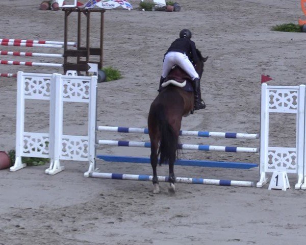 Reitturnier Scharnebeck 2025