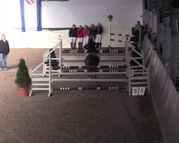 16. Legdener Pony-Meeting