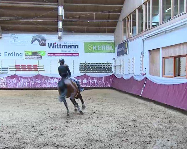 Reitturnier Eicherloh 2025