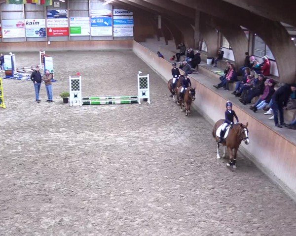 Reitturnier Leck 2025