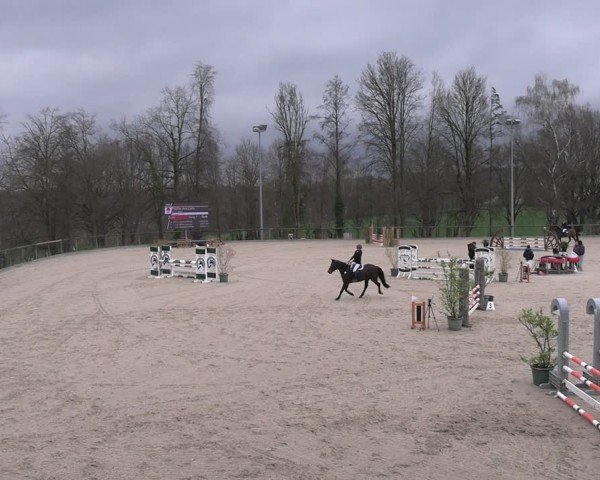 Reitturnier Erkrath 2025