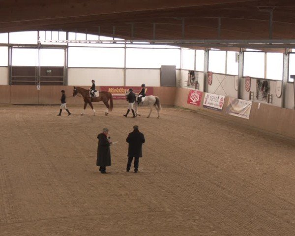 Reitturnier Borgholzhausen 2025