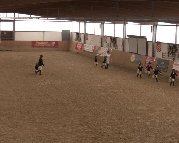 Reitturnier Borgholzhausen 2025