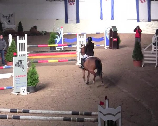 16. Legdener Pony-Meeting