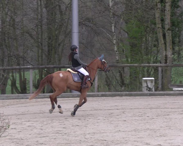 Reitturnier Erkrath 2025