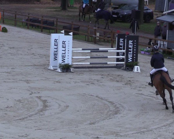 Reitturnier Scharnebeck 2025