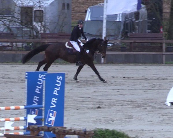 Reitturnier Scharnebeck 2025